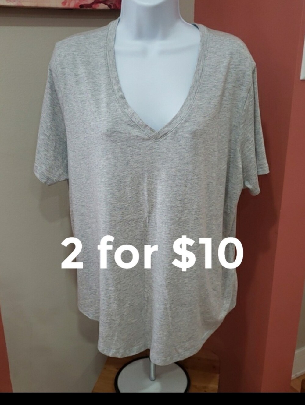 Terra & Sky Women's V-Neck Tee - Heather Gray, 1X (16W-18W)